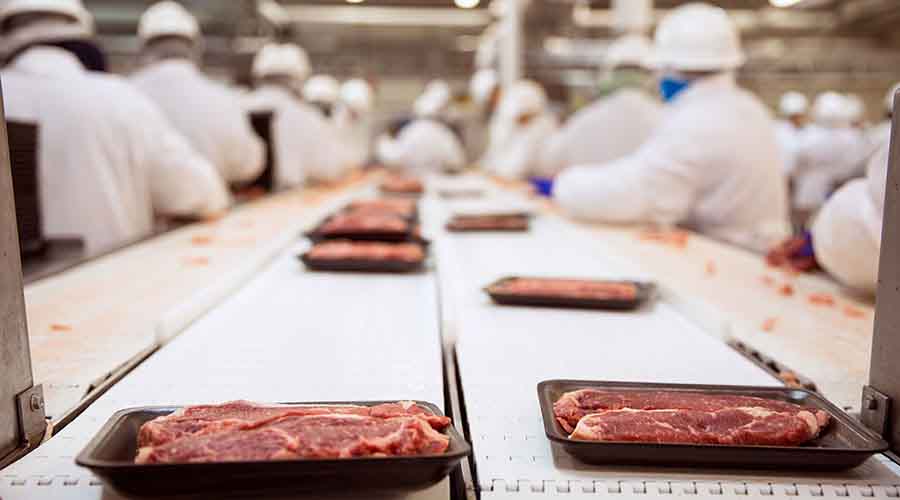 industrie agro alimentaire go interim