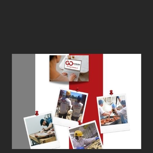 CANDIDAT GO INTERIM