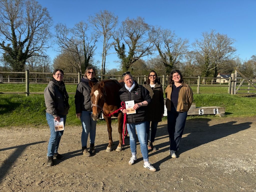 formation Equi coaching